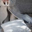 Denna produkten heter Ludde, tillverkad av Polyester material med en vacker Offwhite färg - SE Mattor