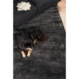 Brillo Grå Viskosmatta