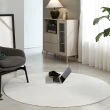 Denna produkten heter Cat, tillverkad av Polyester material med en vacker Vit färg - SE Mattor