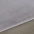 Denna produkten heter Cat, tillverkad av Polyester material med en vacker Silver färg - SE Mattor