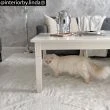 Denna produkten heter Rabbit Fur, tillverkad av Polyester material med en vacker Beige färg - SE Mattor