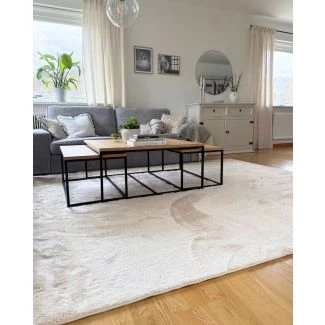 Denna produkten heter Fluffy, tillverkad av Polyester material med en vacker Beige färg - SE Mattor