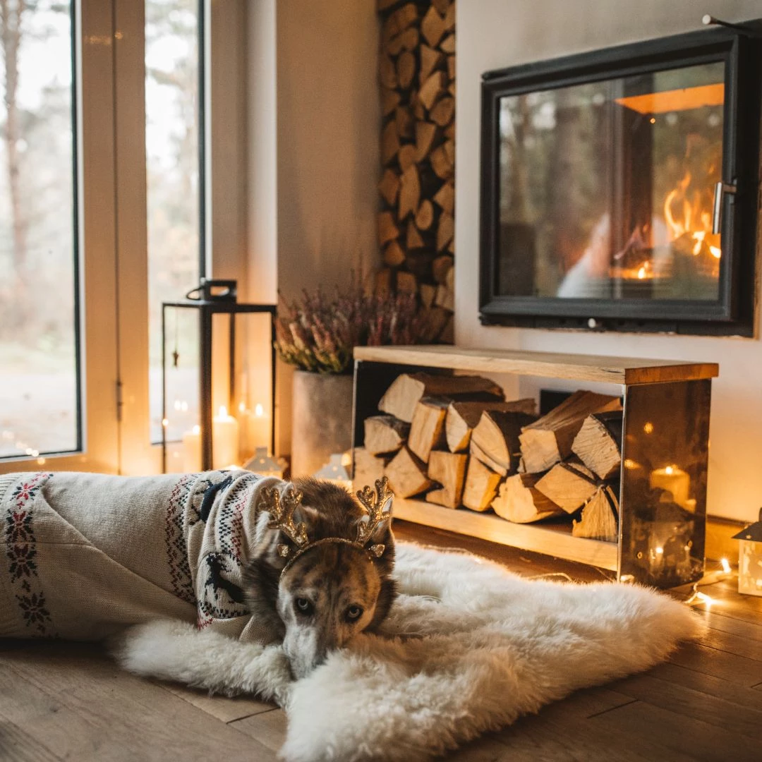 En stor hund ligger på en varm och mysig matta i en varm vinterstuga.