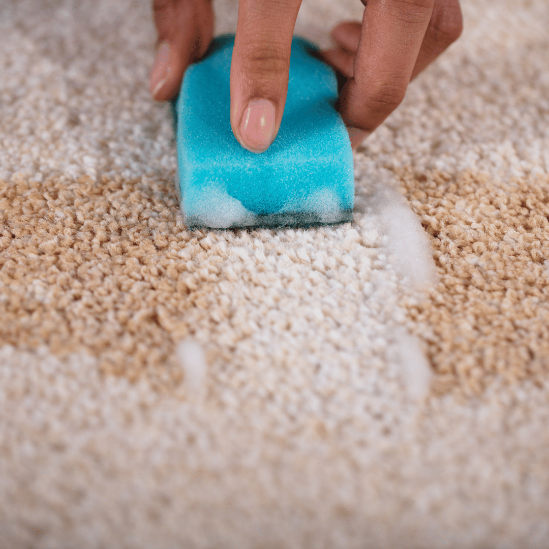 Använder en tvättsvamp och rengöringsmedel för att gnugga och ta bort fläck på matta.