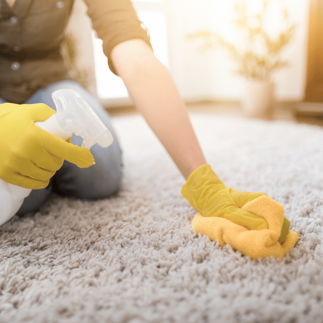 Person sprejar diskmedel på matta för att rengöra avföring.