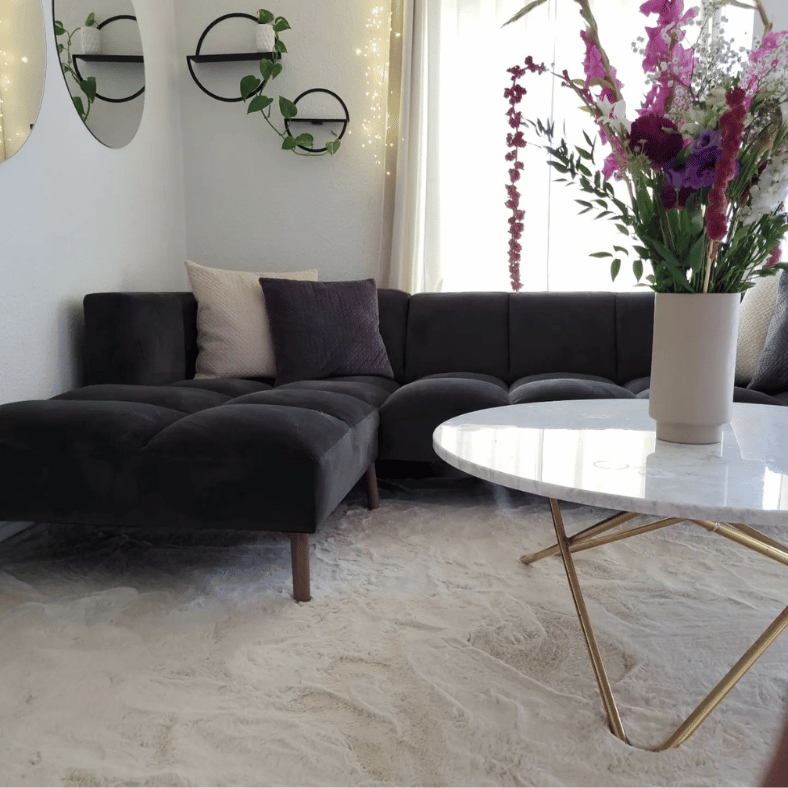 Beige matta till svart soffa i vardagsrum ser elegant ut. En inredning i stil.
