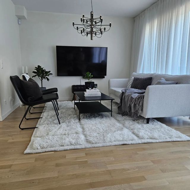Ljusgrå soffa med en mönstrad matta under skapar en fin inredning i vardagsrummet.